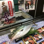 定点観測：いかりスーパーの鮮魚コーナー（2016.10.23）