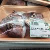 定点観測：いかりスーパーの鮮魚コーナー（2016.10.10）