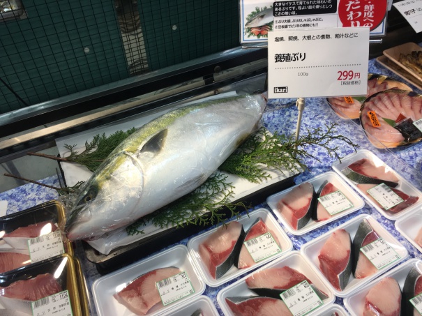 いかりスーパーマーケトの魚