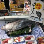 定点観測：いかりスーパーの鮮魚コーナー（2017.1.22）