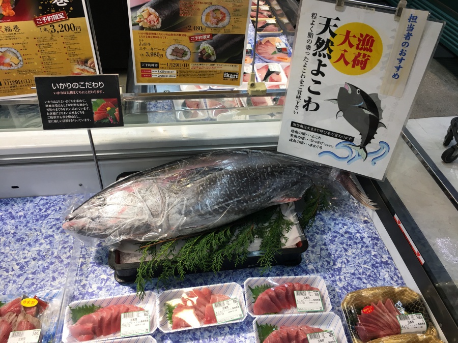 定点観測 いかりスーパーの鮮魚コーナー 17 1 22 投資する紀州釣り師 茅渟富団子屋