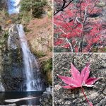 紀州釣り師の紅葉狩り「箕面の滝」2017