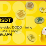 【DeFi】DODOでイールドファーミングを始める方法を詳しく解説します（通貨ペアBUSD-USDT）