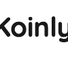 【便利】Koinlyで仮想通貨の取引履歴を一括管理する方法（イーサリアム、BSC、Polygon、Harmony、Solanaに対応）